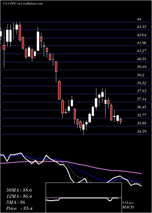  Daily chart PilgrimS