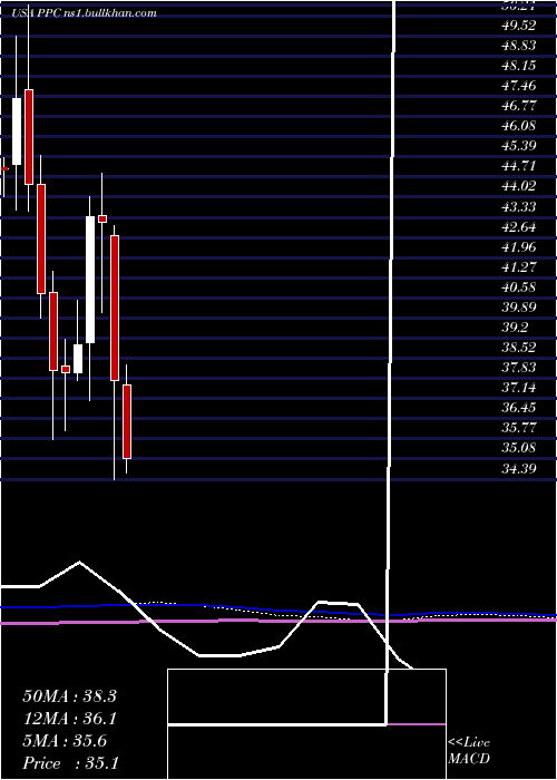  monthly chart PilgrimS