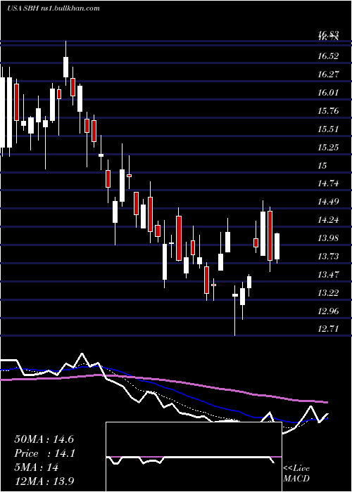  Daily chart SallyBeauty
