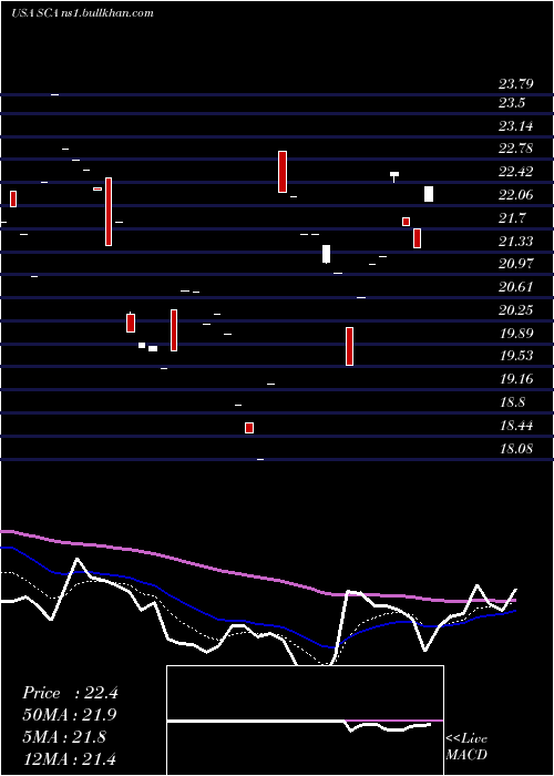 Daily chart StellusCapital