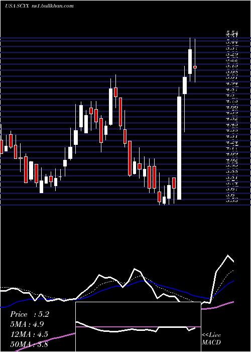  Daily chart ScynexisInc