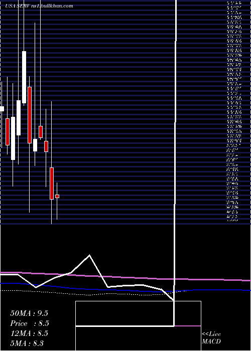  monthly chart ServicemasterGlobal