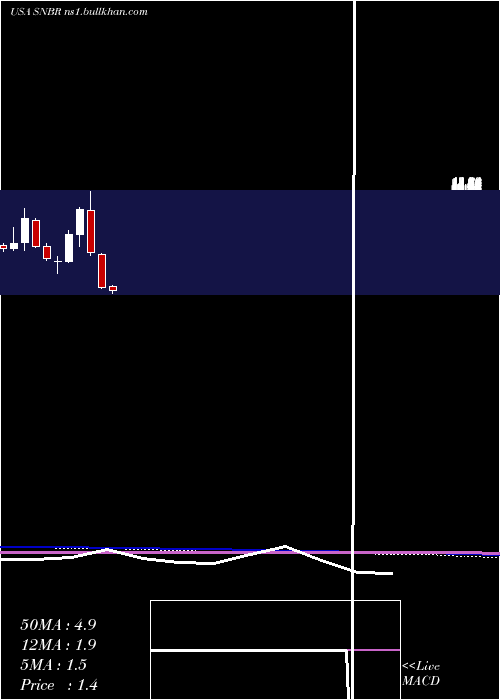 monthly chart SleepNumber