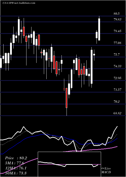  Daily chart SpectrumBrands