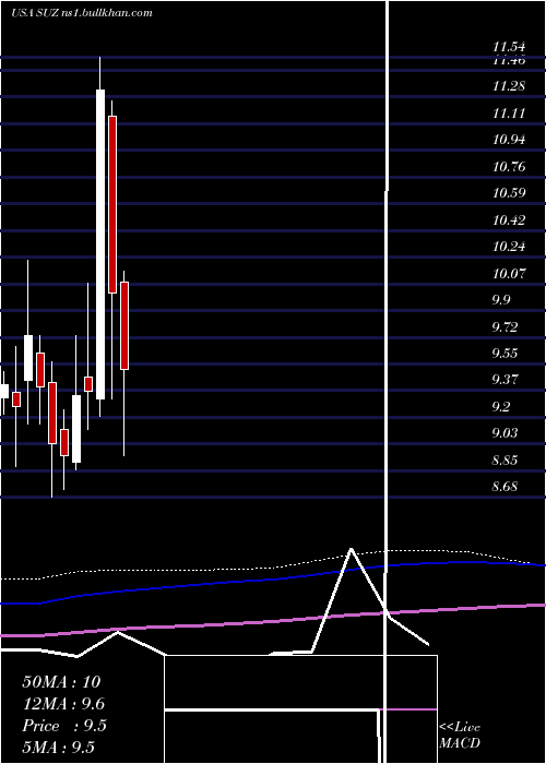  monthly chart SuzanoPapel