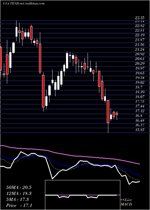  Daily chart TenableHoldings