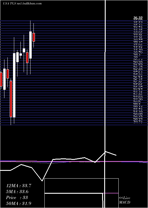  monthly chart TransportadoraDe