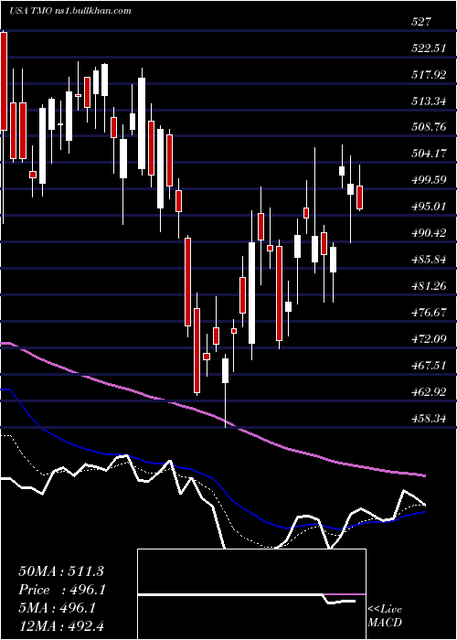  Daily chart ThermoFisher