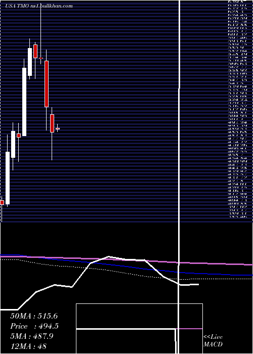  monthly chart ThermoFisher