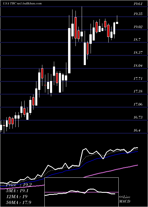  Daily chart TejonRanch