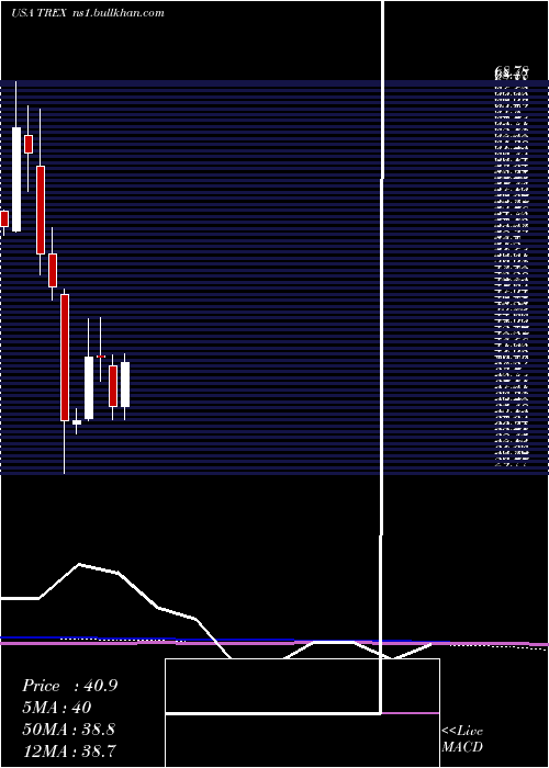 monthly chart TrexCompany