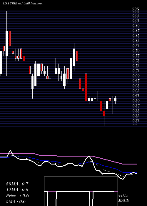  Daily chart TrinityBiotech