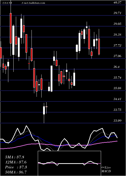  Daily chart TrimasCorporation