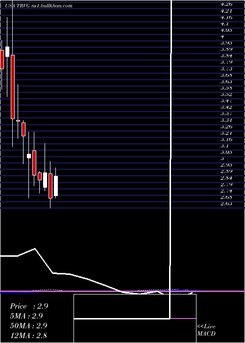  monthly chart TrivagoN