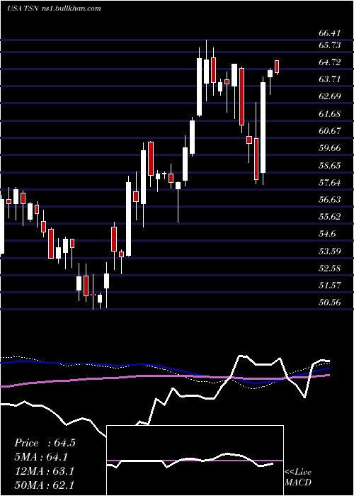  weekly chart TysonFoods