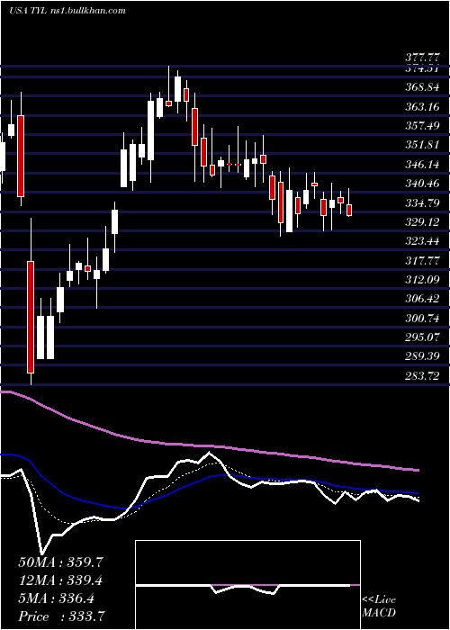  Daily chart TylerTechnologies