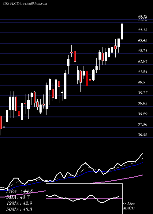  Daily chart VillageSuper