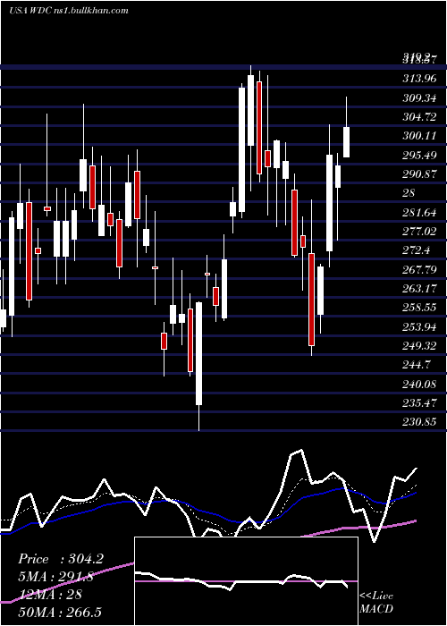  Daily chart WesternDigital