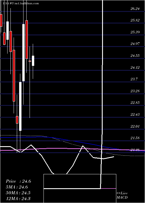  monthly chart WeyerhaeuserCompany