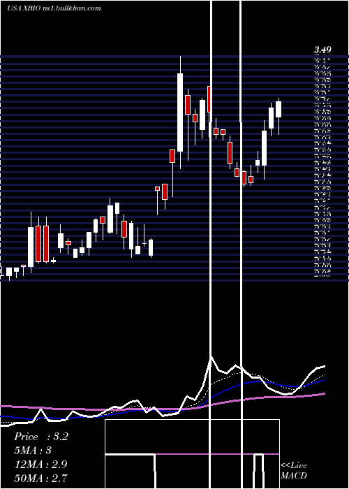  Daily chart XeneticBiosciences