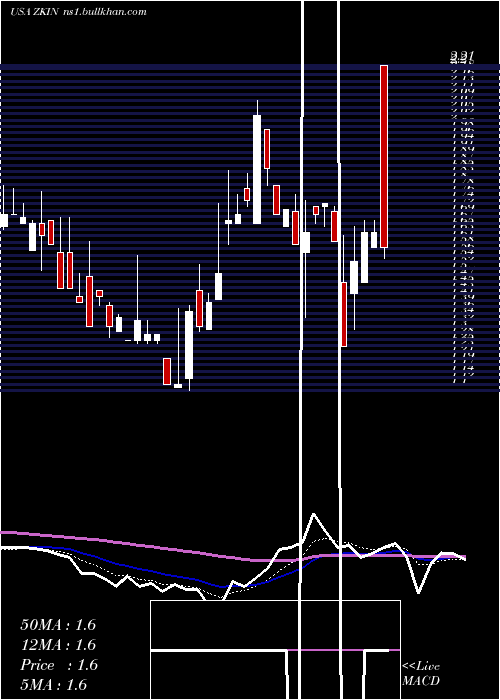  Daily chart ZkInternational